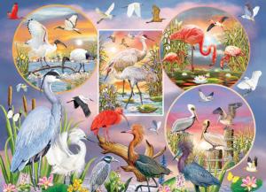 Waterbird Magic Birds Jigsaw Puzzle By Cobble Hill