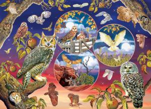 Owl Magic Collage Jigsaw Puzzle By Cobble Hill