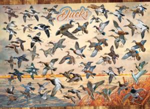 Ducks of North America Birds Jigsaw Puzzle By Cobble Hill