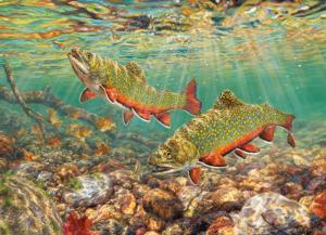 Brook Trout Fish Jigsaw Puzzle By Cobble Hill