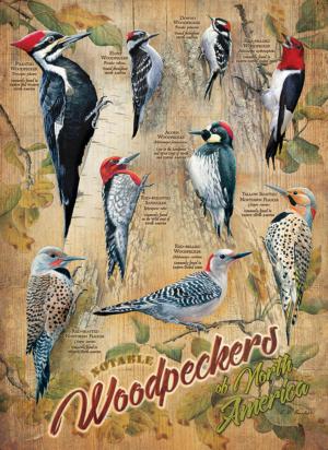 Notable Woodpeckers United States Jigsaw Puzzle By Cobble Hill