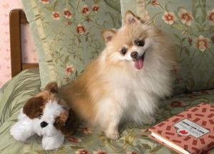 Bedtime Dogs Jigsaw Puzzle By Cobble Hill