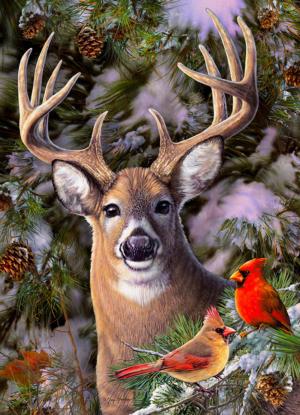 One Deer Two Cardinals