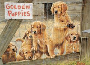 Golden Puppies Dogs Jigsaw Puzzle By Cobble Hill