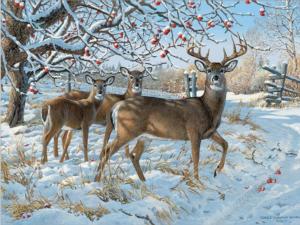 Winter Deer Winter Jigsaw Puzzle By Cobble Hill