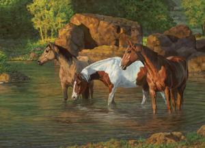 Horse Pond Lakes / Rivers / Streams Jigsaw Puzzle By Cobble Hill