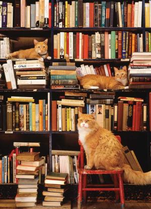 Gotham Bookstore Cats Books & Reading Jigsaw Puzzle By Cobble Hill