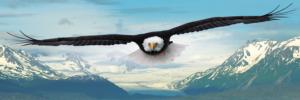 Eagle Father's Day Panoramic Puzzle By Eurographics