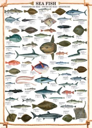 Sea Fish Fish Jigsaw Puzzle By Eurographics