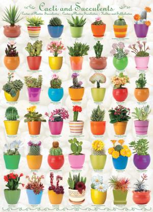 Cacti and Succulents Pattern / Assortment Jigsaw Puzzle By Eurographics
