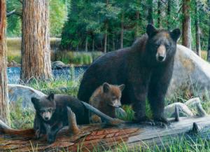 New Discoveries Bear Jigsaw Puzzle By Eurographics