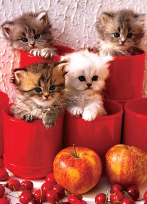 Kittens in Pots Cats Jigsaw Puzzle By Eurographics