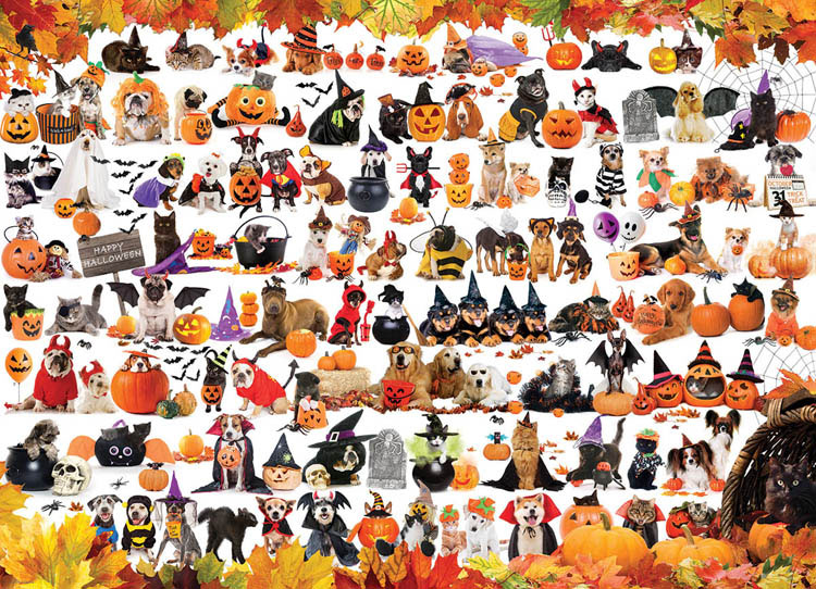Halloween Pets Halloween Jigsaw Puzzle By Eurographics