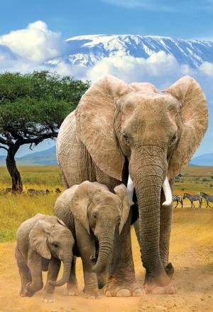 Elephant Elephant Jigsaw Puzzle By Eurographics