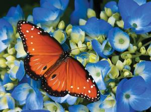 Hydrangeas & Butterfly Butterflies and Insects Jigsaw Puzzle By Serious Puzzles