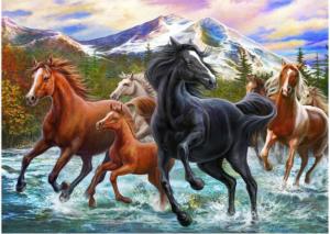 Black Stallion Friends Horse Tin Packaging By River's Edge