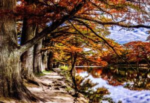 Autumn River Bank Lakes & Rivers Jigsaw Puzzle By Puzzle Passion
