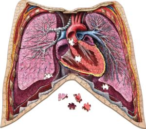 Dr. Livingston's Anatomy Jigsaw Puzzle: The Human Thorax Science Jigsaw Puzzle By Genius Games