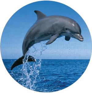 Bottlenose Dolphin Puzzle A•Round: Dolphin Round Jigsaw Puzzle By Pigment & Hue