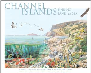 Channel Islands National Park National Parks Jigsaw Puzzle By Pigment & Hue