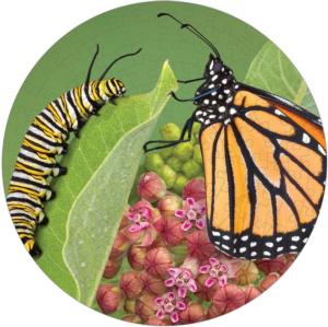 Monarch Butterfly Puzzle A•Round Butterflies and Insects Round Jigsaw Puzzle By Pigment & Hue