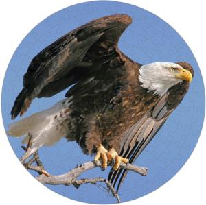 Bald Eagle Puzzle A•Round: Eagle Round Jigsaw Puzzle By Pigment & Hue