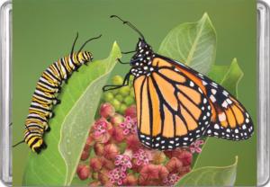 Monarch Butterfly MiniPix® Puzzle Butterflies and Insects Miniature Puzzle By Pigment & Hue