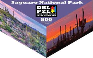 Saguaro National Park National Parks Triangular Puzzle Box By Pigment & Hue