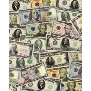 Banknotes of the United States - Scratch and Dent United States Jigsaw Puzzle By Pigment & Hue