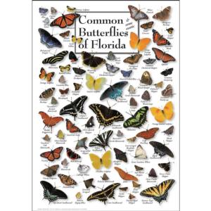 Butterflies of Florida Butterflies and Insects Jigsaw Puzzle By Heritage Puzzles