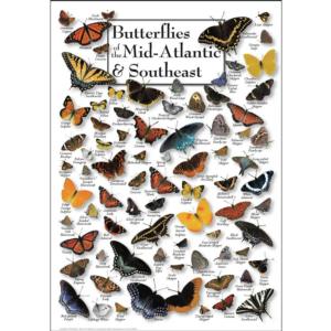 Butterflies of Mid-Atlantic & the Southeast Butterflies and Insects Jigsaw Puzzle By Heritage Puzzles