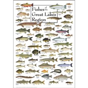 Fish of the Great Lakes Fish Jigsaw Puzzle By Heritage Puzzles