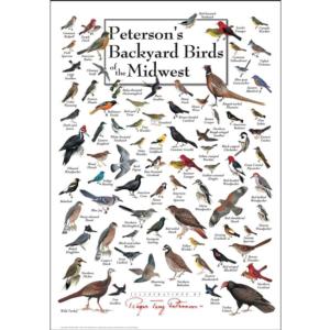 Peterson's Backyard Birds of the Midwest
