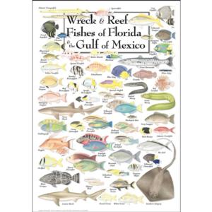 North American Wildlife Puzzles Gamefish of The United States 550 Pieces for sale online 