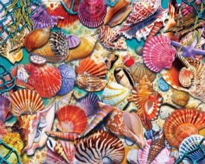 Coastal Shells Beach Jigsaw Puzzle By Heritage Puzzles