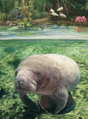 Manatee Beach & Ocean Jigsaw Puzzle By Heritage Puzzles