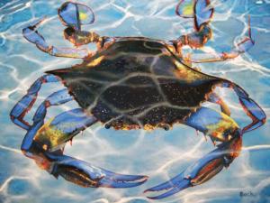 Blue Crab Bay Beach & Ocean Jigsaw Puzzle By Heritage Puzzles