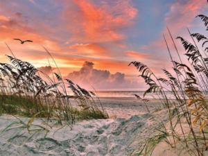 Dancing Sea Oats Beach Jigsaw Puzzle By Heritage Puzzles