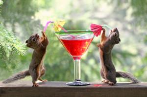 Squirrels at Cocktail Hour Humor Jigsaw Puzzle By Goodway Puzzles