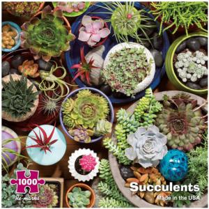 Succulents Jigsaw Puzzle By Re-marks