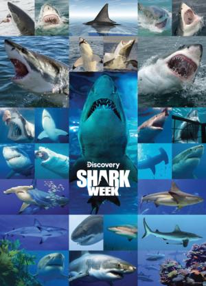 Shark Week Movies & TV Jigsaw Puzzle By USAopoly