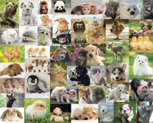 Cute, Cute, Cute Animals Jigsaw Puzzle By Hart Puzzles