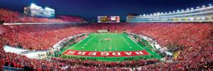 Wisconsin 1000 pc Pano End Zone - Scratch and Dent Sports New Product - Old Stock By MasterPieces