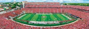 Georgia Bulldogs NCAA Stadium Panoramics Center View Sports Panoramic Puzzle By MasterPieces