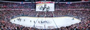 Colorado Avalanche NHL  Sports Panoramic Puzzle By MasterPieces