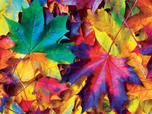 Fall Frenzy Collage Jigsaw Puzzle By MasterPieces