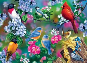 Songbird Collage, 1000 Pieces, MasterPieces | Puzzle Warehouse