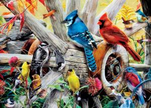 Backyard Birds Birds Jigsaw Puzzle By MasterPieces