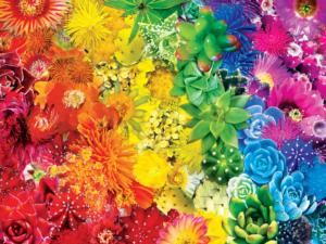 Sun Succulents Rainbow & Gradient Jigsaw Puzzle By MasterPieces