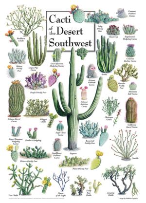 Cacti of the Desert Southwest Flower & Garden Jigsaw Puzzle By MasterPieces